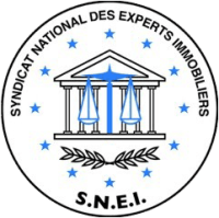 logo_snei-1